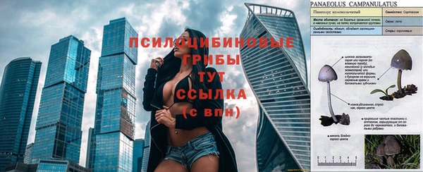 мяу мяу мука Покровск