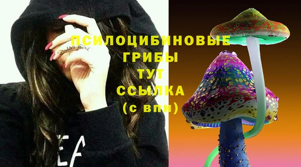 СК Переславль-Залесский